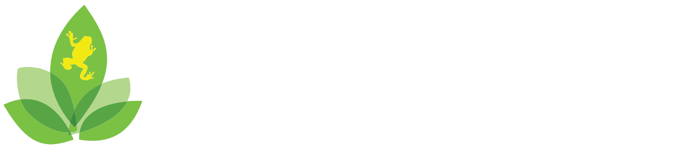 Josh's Frogs