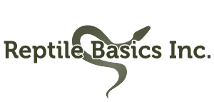 Reptile Basics